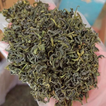 正宗日照绿茶秋茶品质保证服务周到产地直发价格美丽