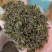 正宗日照绿茶秋茶品质保证服务周到产地直发价格美丽