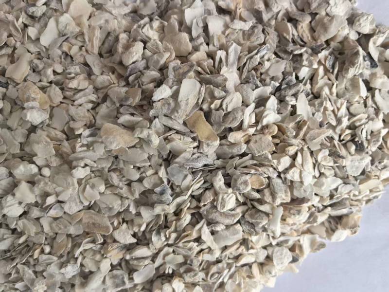 牡蛎中药材一手货源量大从优牡蛎粉牡蛎颗粒