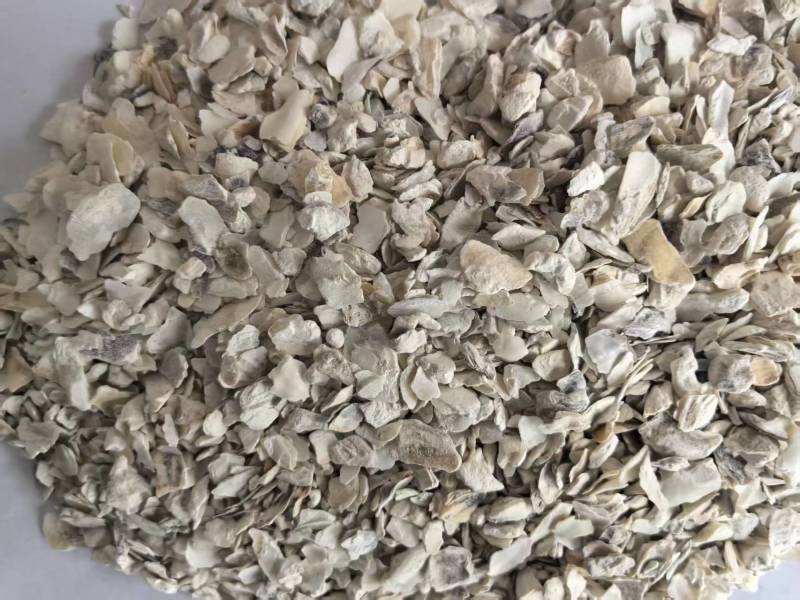 牡蛎中药材一手货源量大从优牡蛎粉牡蛎颗粒