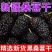 ：【精选新果干500克】净重免洗【新货桑葚干】新疆特产