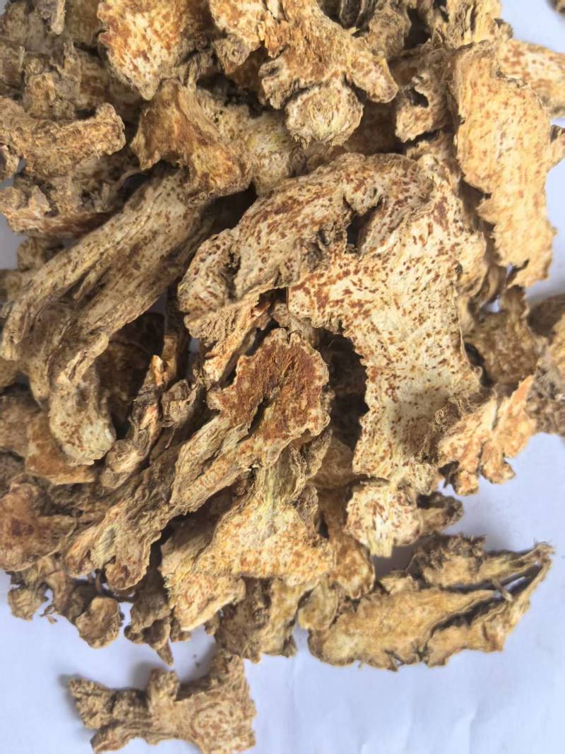 苍术朱砂点苍术干净无杂质道地药材中药材苍术
