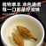 野生云南淫花果花草茶正品腾冲野代用茶通用的快泡茶泡酒花草
