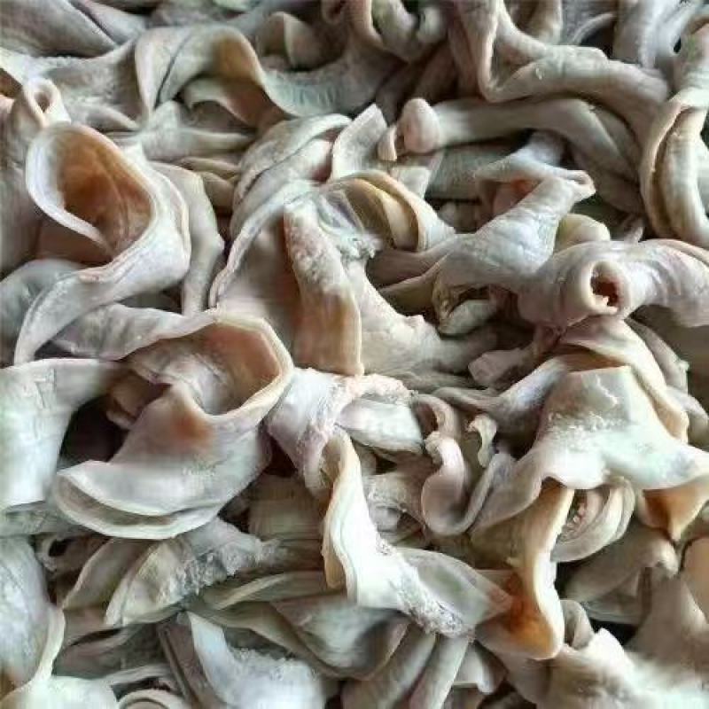 牛小肠，牛大肠，一件起发，量大从优，各类肉食品批发