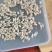 色选炒货，鸽子粮，油料食葵格瑞568