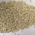 薏米仁药食同源大量有货可搭配其它品种