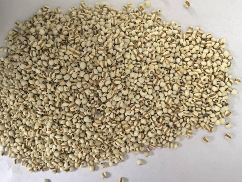 薏米仁药食同源大量有货可搭配其它品种