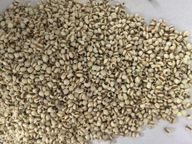 薏米仁药食同源大量有货可搭配其它品种