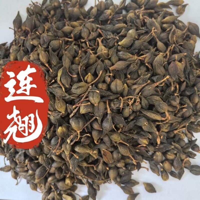 连翘青连翘干货河南野生连翘没有开口新货无杂质