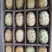 火星果刺角瓜0.5斤以上