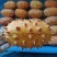 刺角瓜火参果海参果灭霸果基地直发