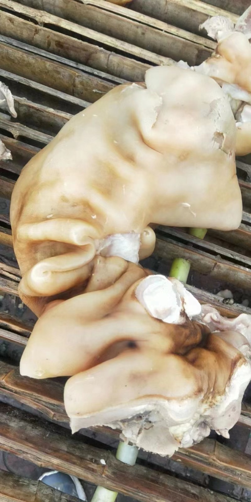 熟牛蹄！好多店都在用网红产品，价格实惠，特色菜