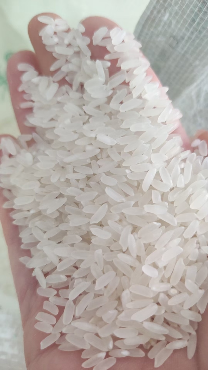 东北长粒香大米