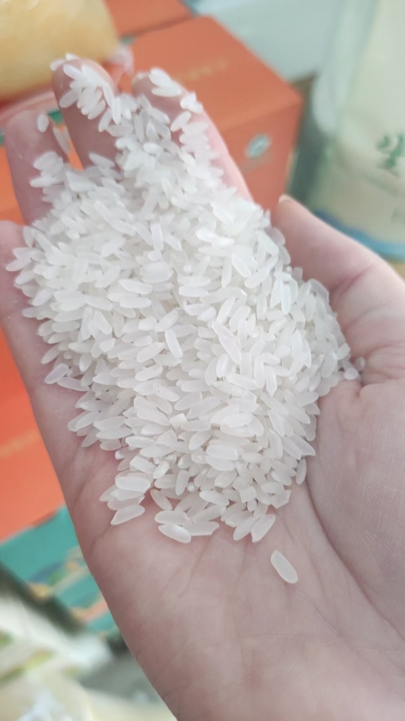 东北长粒香大米