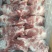 盼诚满肉大棒骨，开箱实拍，含肉率80。**推荐