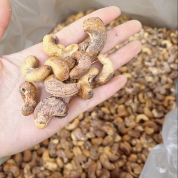 紫衣腰果仁电商好货