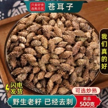 包邮）野生苍耳子中药材500克老籽炒熟仓耳子去刺苍耳子