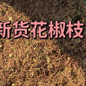 花椒枝干枝子