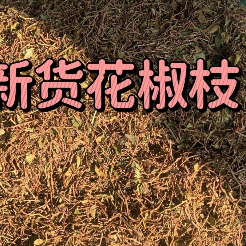 花椒枝干枝子