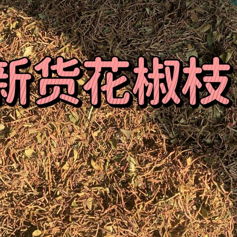 花椒枝干枝子