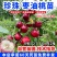 果园直发桃树苗早中晚熟珍珠枣油桃嫁接苗种类全包成活率