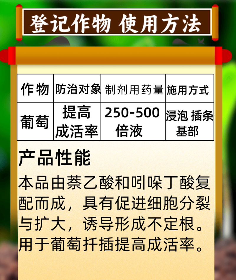 5%吲丁萘乙酸促生根提高成活率生主根次根毛细根生根快