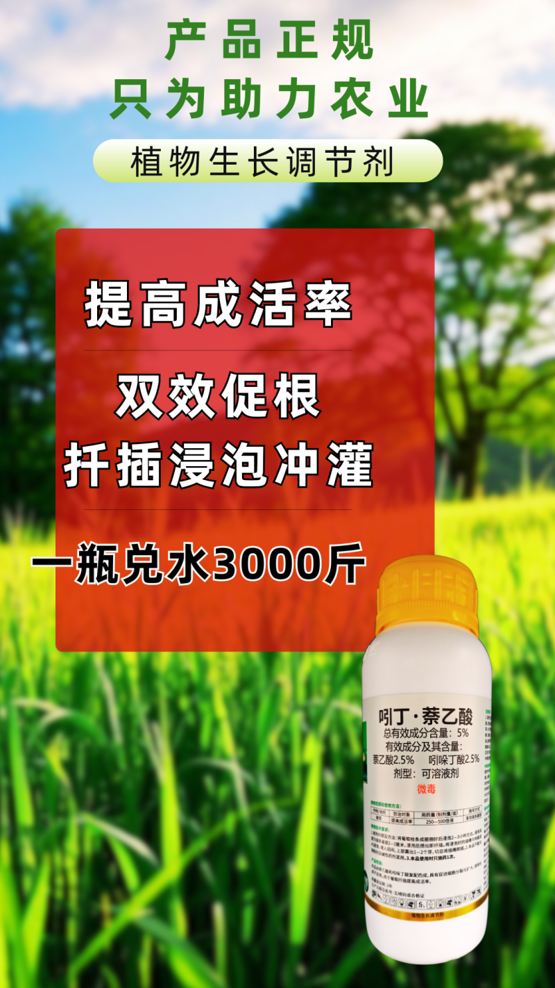 5%吲丁萘乙酸促生根提高成活率生主根次根毛细根生根快