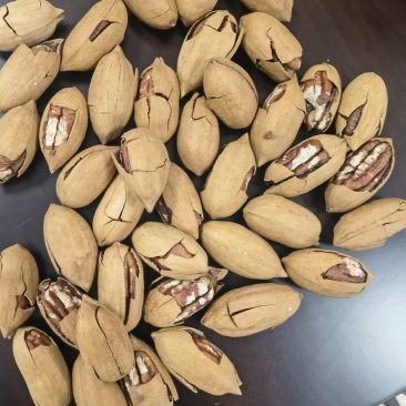碧根果熟的奶香味