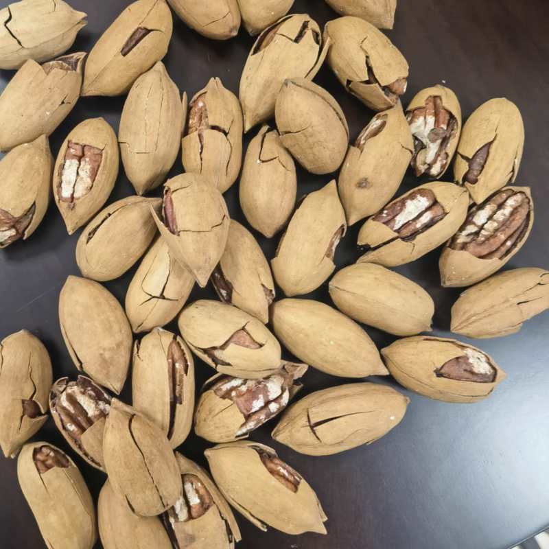碧根果熟的奶香味