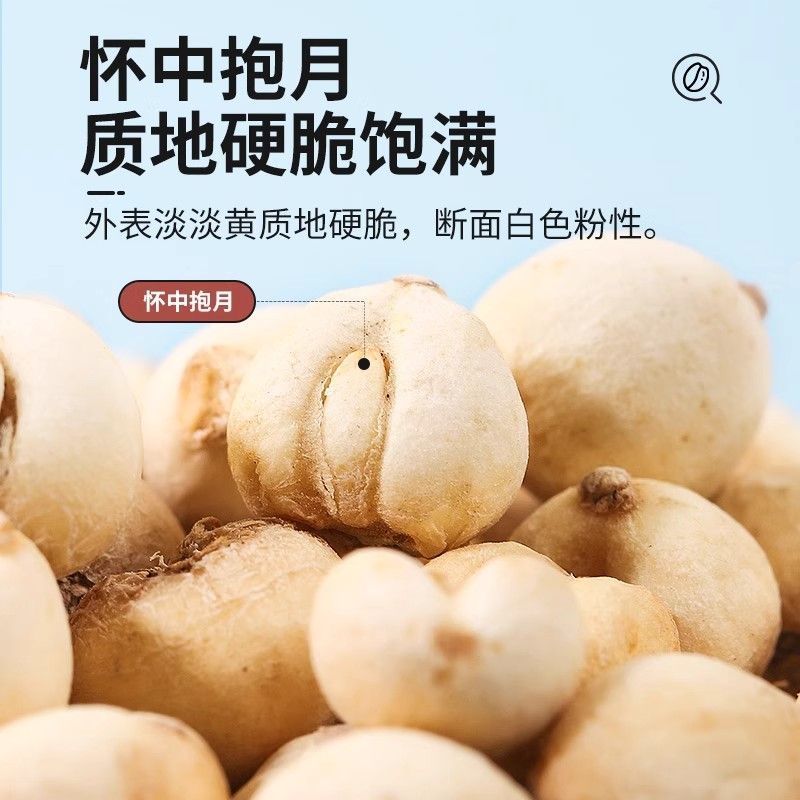 【假一赔十】四川川贝母正品川贝母批发支持一件代发