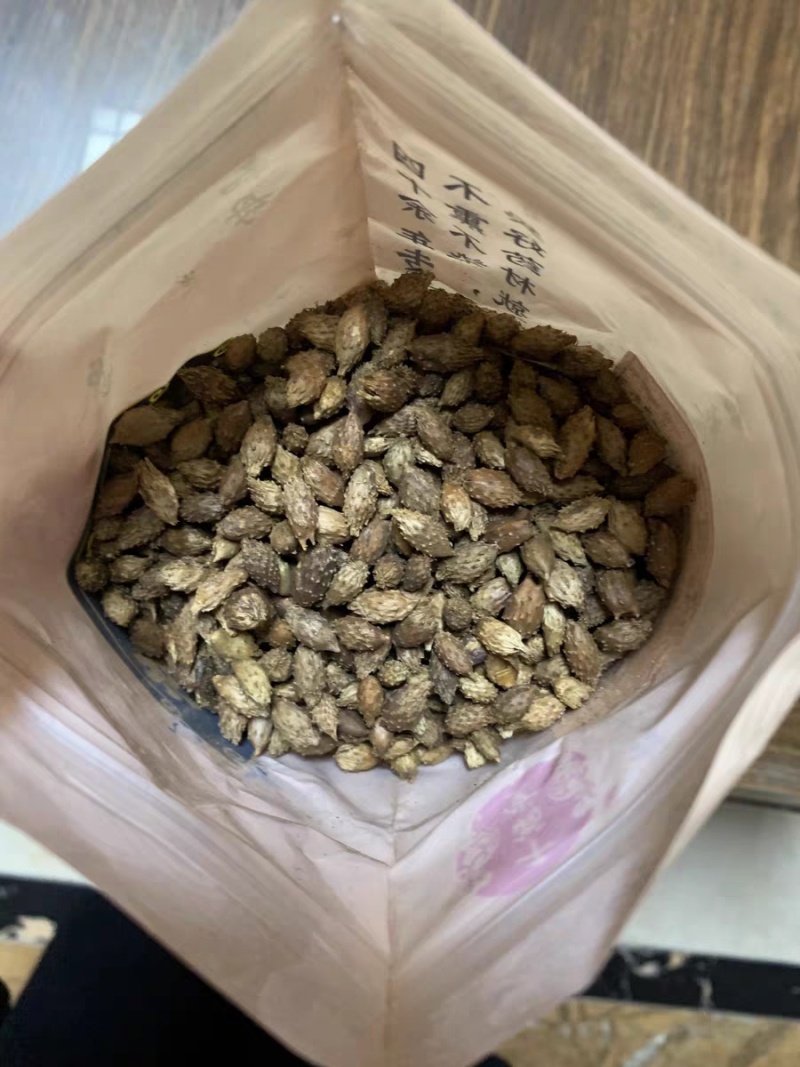 包邮）野生苍耳子中药材500克老籽炒熟仓耳子去刺苍耳子