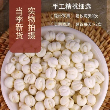 【假一赔十】贝母中药500克中药材粉正品贝母批发