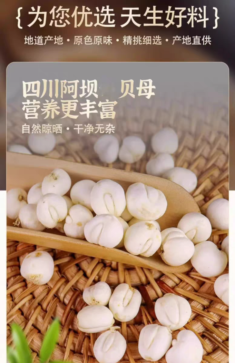 【假一赔十】贝母中药500克中药材粉正品贝母批发