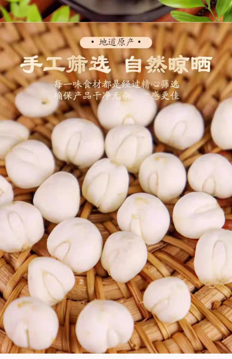 【假一赔十】贝母中药500克中药材粉正品贝母批发