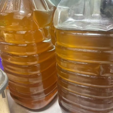 自家榨的老茶树茶油，带检测报告，欢迎采购