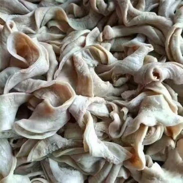 牛小肠，牛大肠，一件起发，量大从优，各类肉食品批发