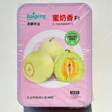 蜜奶香甜瓜种子香瓜早熟品种种子