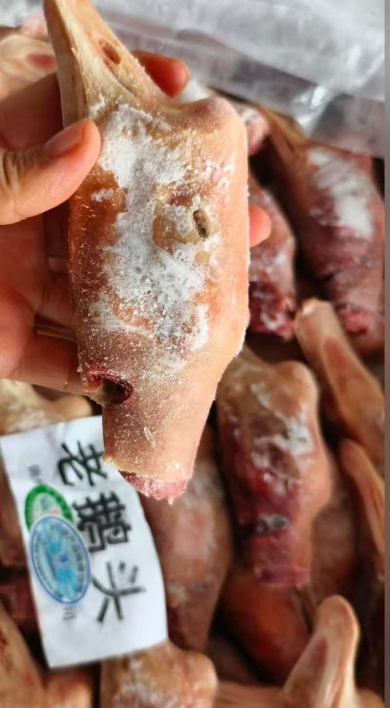 老鹅头