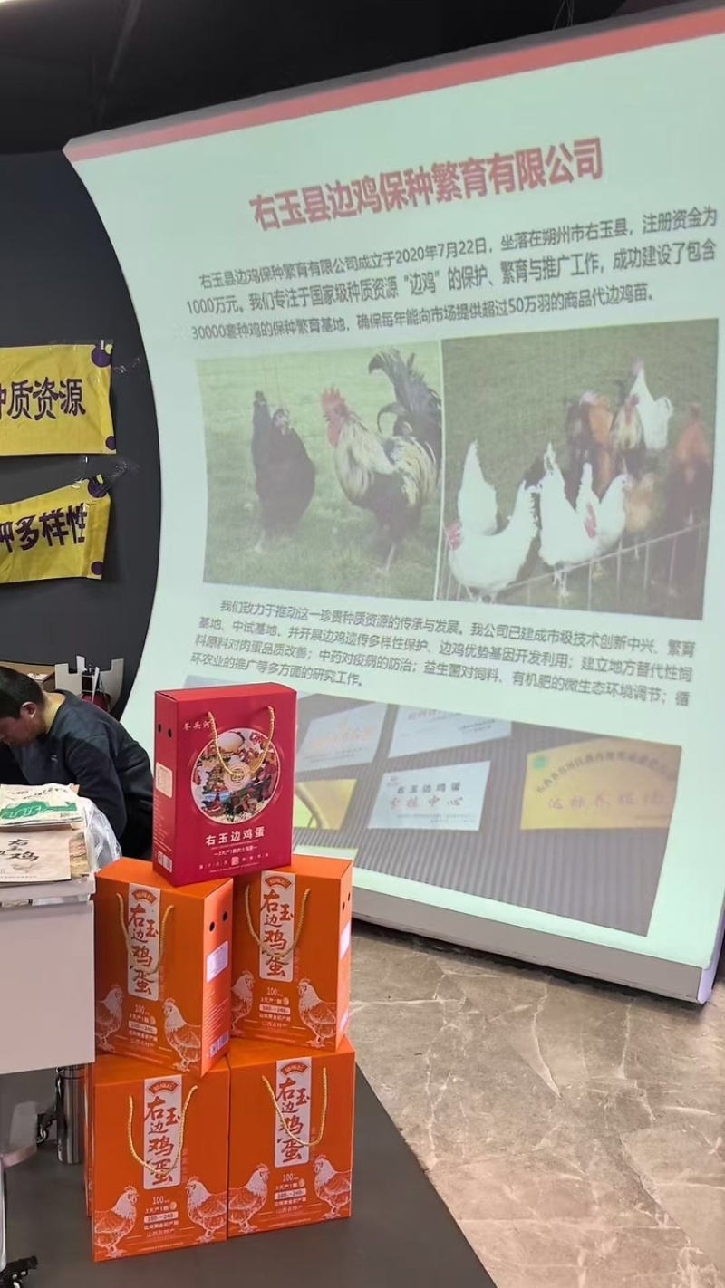 右玉边鸡蛋品质保证服务周到产地直销价格美丽