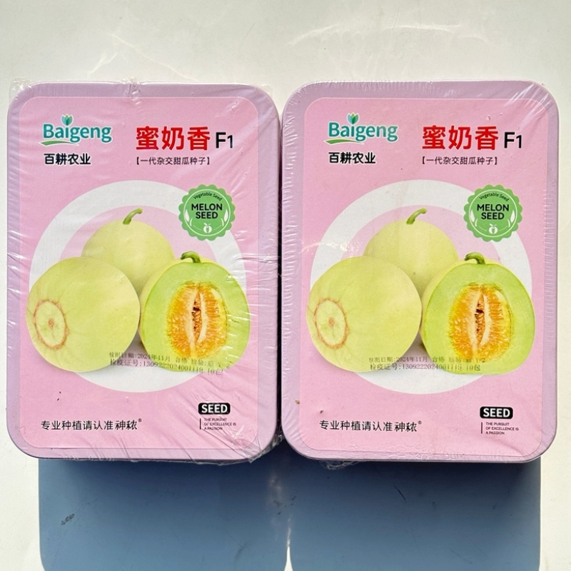蜜奶香甜瓜种子香瓜早熟品种种子