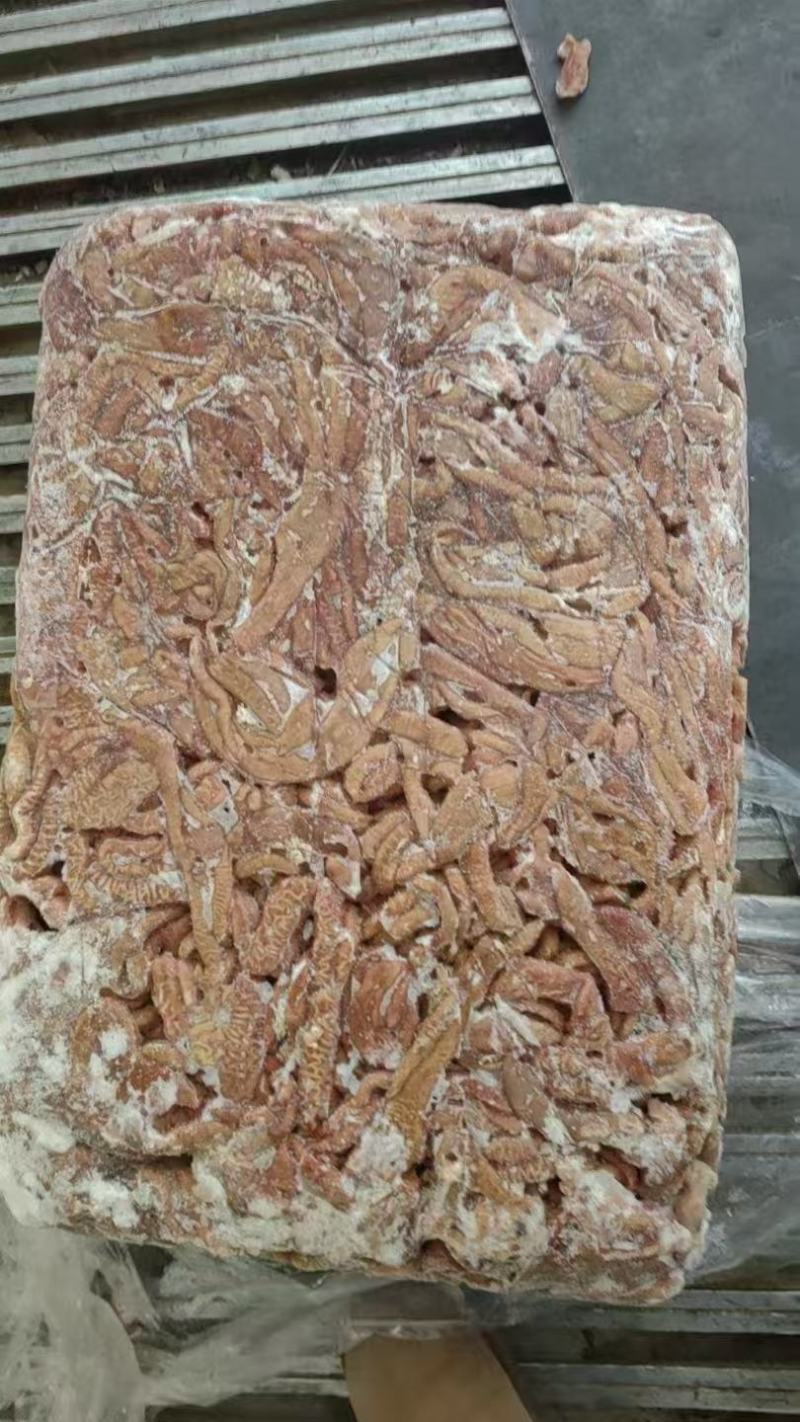 牛小肠，牛大肠，一件起发，量大从优，各类肉食品批发