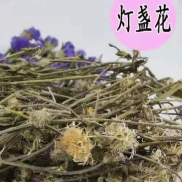 灯盏花灯盏细辛中药饮片欢迎各位老板来电咨询订购