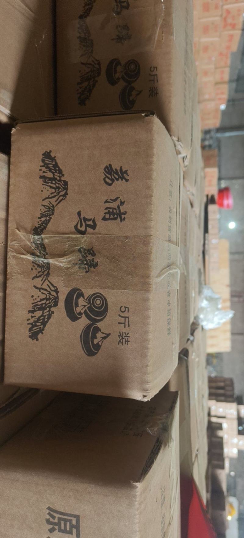 广西荔浦马蹄荸荠