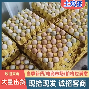 【土鸡蛋】湖北土鸡蛋/产区直发/大量现货