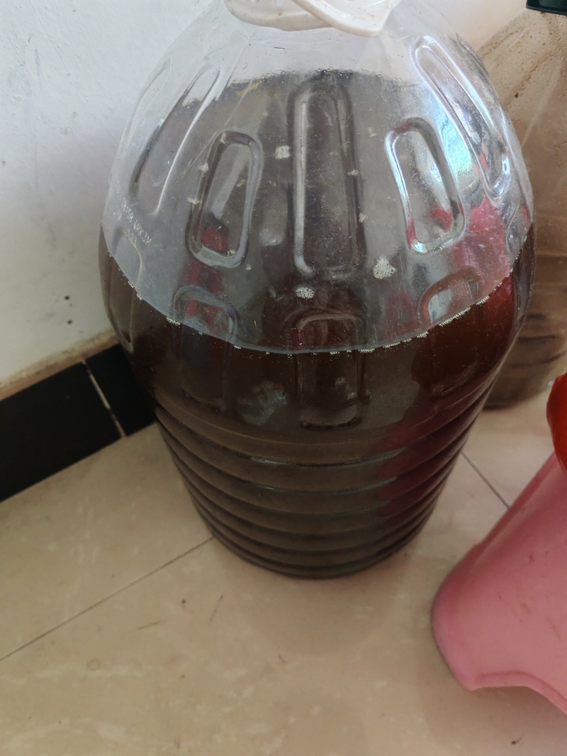 赣州市兴国县山茶油