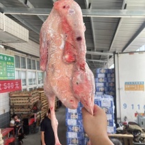 大鹅，大鹅都是6个多月的鹅，铁锅炖，卤鹅店，烧鹅店用的多