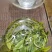 早期高山绿茶富硒茶，所有产品满300元即送半斤