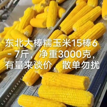 哈尔滨正宗糯玉米，大量好货，价格美丽，量大从优，散单勿扰