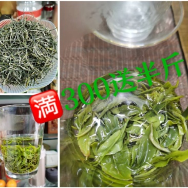 早期高山绿茶富硒茶，所有产品满300元即送半斤