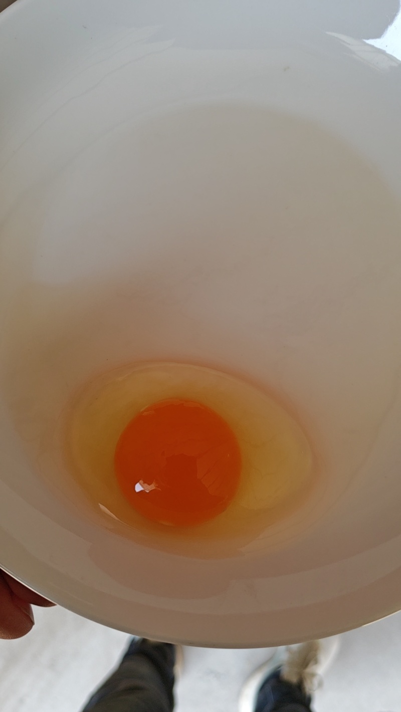 粉壳鸡蛋双色蛋